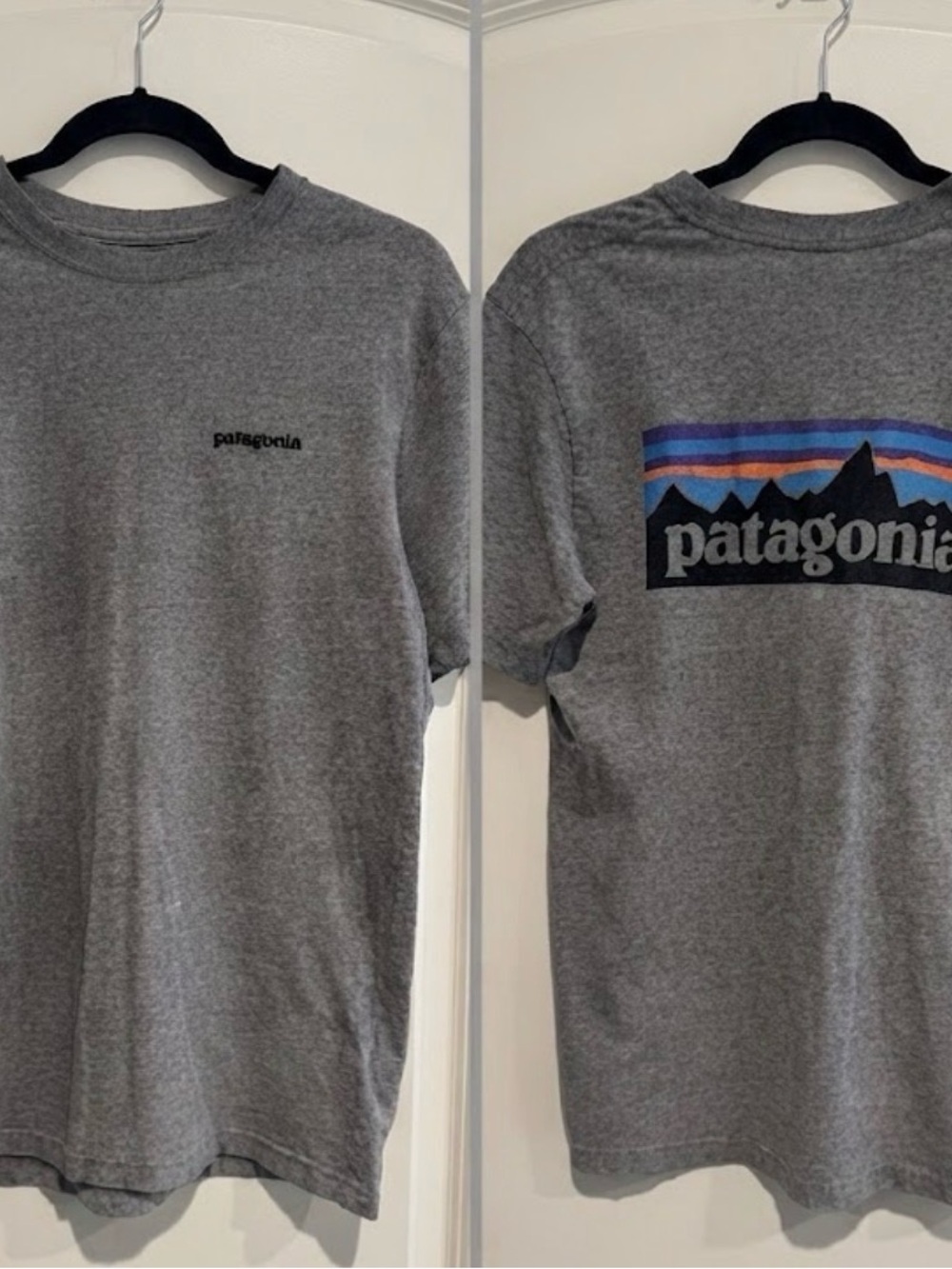 Patagonia Men's Grey Pima Cotton Graphic Tee | Size Medium